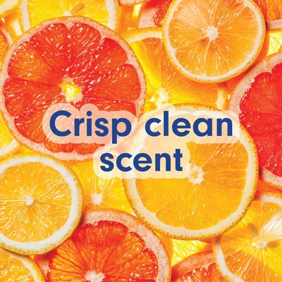 Softsoap Antibacterial Liquid Hand Soap Refill, Crisp Clean Scent, 50 oz. (61048277)