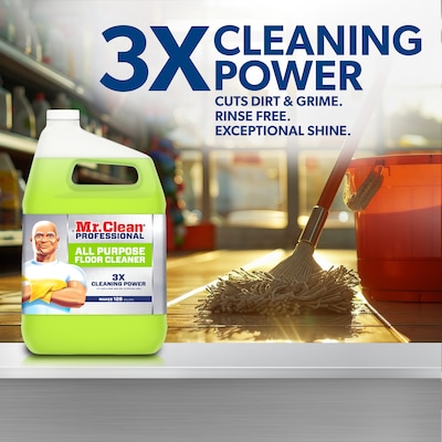 Mr. Clean Professional Liquid Concentrate All Purpose Floor Cleaner, Lemon Scent, 1 Gallon (02621)