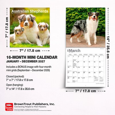 2027 BrownTrout Australian Shepherds 7" x 7" Monthly Wall Calendar, Assorted Colors (9798330709878)