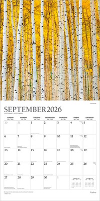 2026 Plato Psalms 12" x 12" Monthly Wall Calendar (9798330706716)