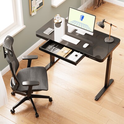 FlexiSpot EG9 48"W Electric Adjustable Glass Top Standing Desk, Black (EG9B-E)