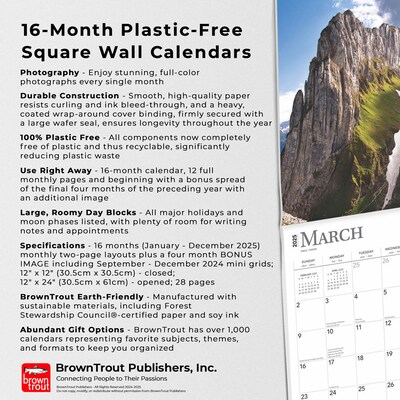 2025 BrownTrout Switzerland 12" x 24" Monthly Square Wall Calendar (9781975476274)