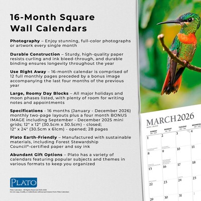 2026 Plato Hummingbirds 12" x 12" Monthly Wall Calendar (9798330706860)