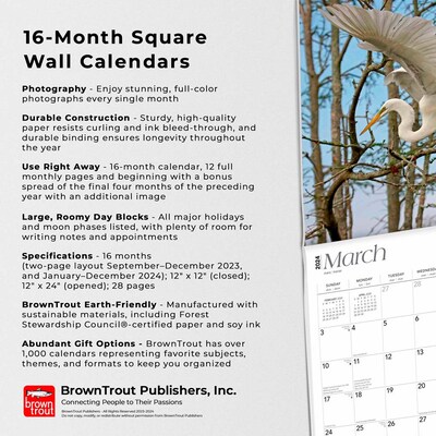 2024 BrownTrout Louisiana Wild & Scenic 12" x 24" Monthly Wall Calendar (9781975463748)