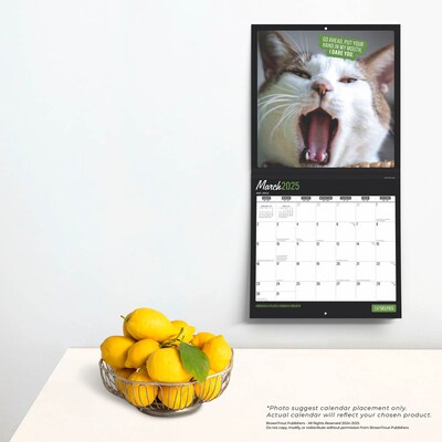 2025 BrownTrout Cat Selfies 12" x 12" Monthly  Wall Calendar (9781975474614)