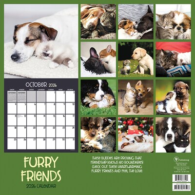 2026 TF Publishing Furry Friends 12" x 12" Monthly Wall Calendar (26-1011)