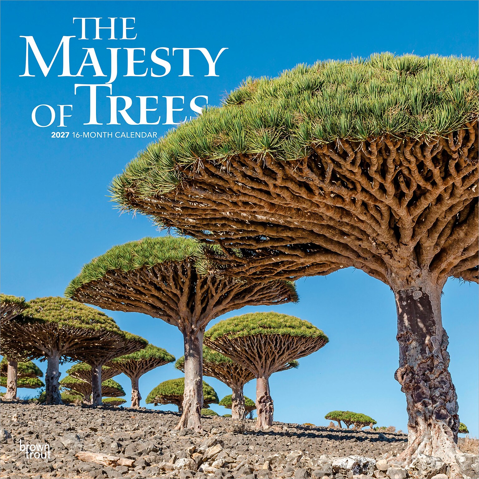 2027 BrownTrout The Majesty of Trees 12 x 12 Monthly Wall Calendar (9798330711574)