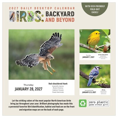 2027 TF Publishing Birds: Backyard 5.25" x 5.25" Daily Day-to-Day Calendar, Multicolored (27-3068)