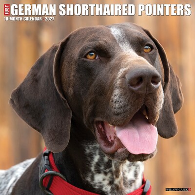 2027 Willow Creek German Shorthaired Pointers 12 x 12 Monthly Wall Calendar (60384)