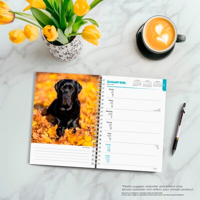 2026 BrownTrout Black Labrador Retrievers 6.5" x 7.75" Weekly Planner (9798330704231)