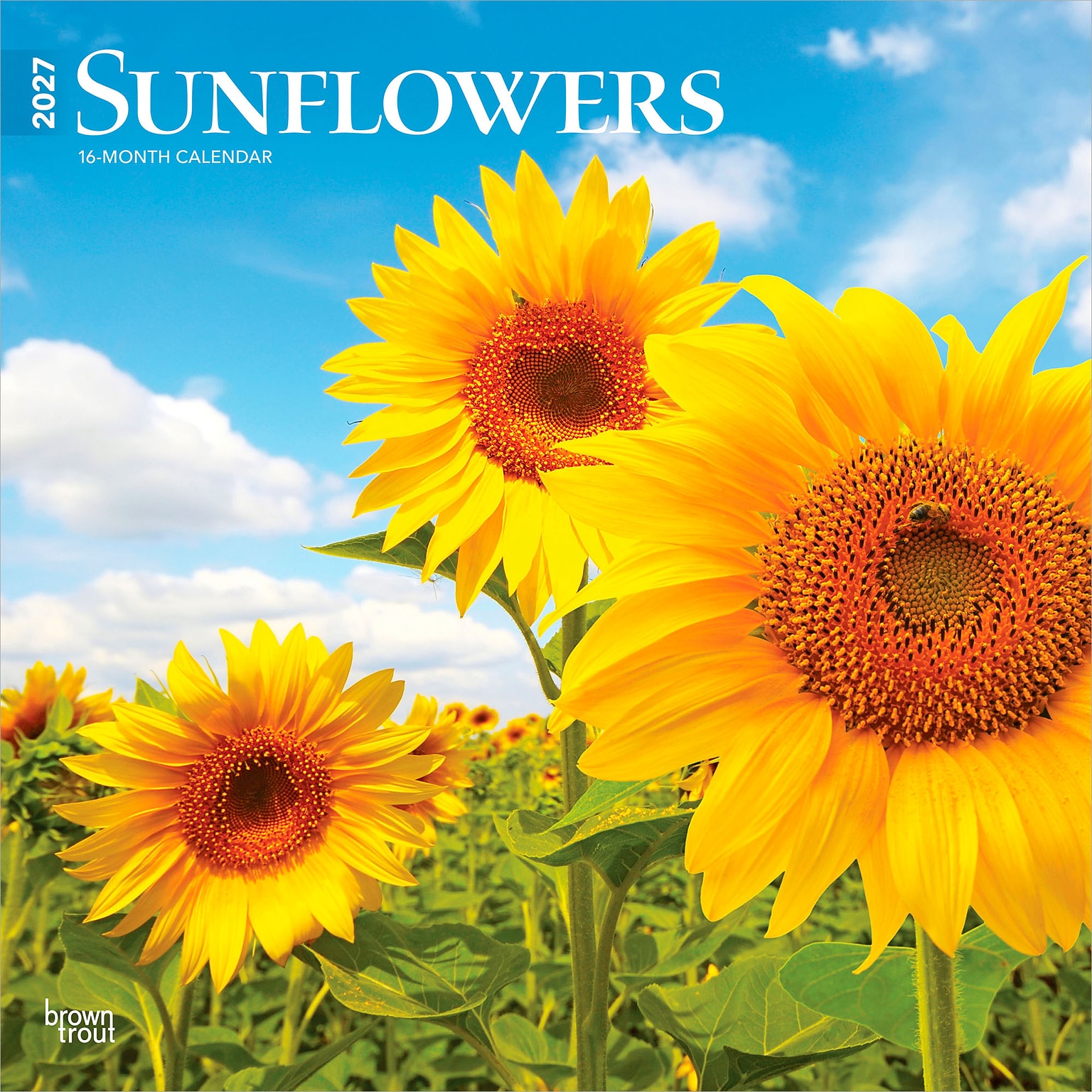 2027 BrownTrout Sunflowers 12 x 12 Monthly Wall Calendar (9798330711352)