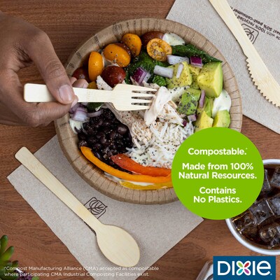 Dixie Compostable Bamboo Fork, Brown, 1000/Box (ANFBAM)