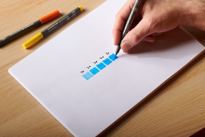 Staedtler Basic Colours Pigment Brush Pens, Assorted Basic Colors, 12/Pack (371 C12-1)