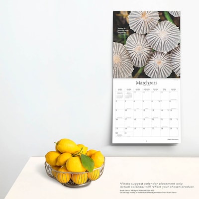 2025 Brush Dance Magic Mushrooms 12" x 12" Monthly Square Wall Calendar (9781975478698)