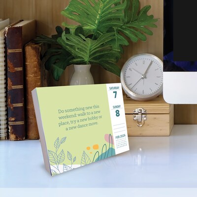 2026 Willow Creek A Year of Wellness 6.2" x 5.4" Day-to-Day Calendar (55243)