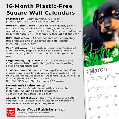 2026 BrownTrout Dachshund Puppies 12" x 12" Monthly Wall Calendar (9798330703098)
