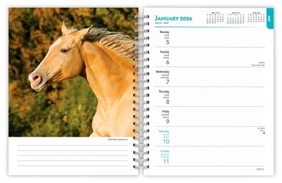 2026 BrownTrout Horse Lovers 6.5" x 7.75" Weekly Planner (9798330703692)