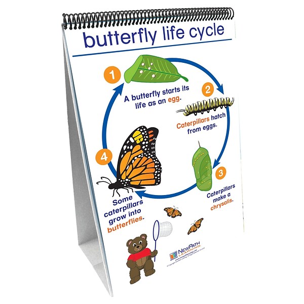 New Path Learning® All About Animals Curriculum Mastery Flip Chart Set, Early Childhood