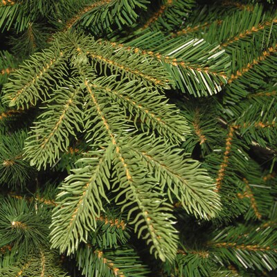 National Tree Company Norwegian Spruce Artificial Christmas Trees PENG4-300-65