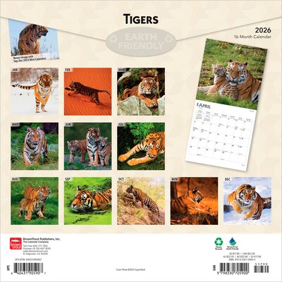 2026 BrownTrout Tigers 12 x 12 Monthly Wall Calendar (9798330705900)