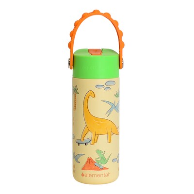 Elemental Core Pop Stainless Steel Double Wall Insulated Water Bottle, 18 oz., Skater Dinos (EBC18SD30P)