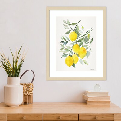 Amanti Art Lemon Citrus by Patricia Shaw Wood Framed Wall Art Print, 17 x 21 (A42675506061)