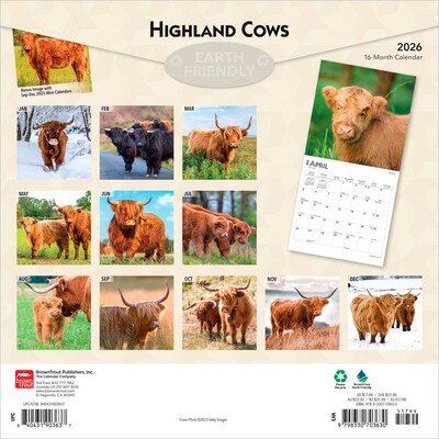 2026 BrownTrout Highland Cows 12 x 12 Monthly Wall Calendar (9798330703630)