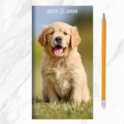 2027 TF Publishing Dogs 3.5" x 6.5"  Monthly Standard Planner, Paperboard Cover, Multicolored (27-7016)