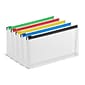 Staples Plastic File Pocket, Check Size, Assorted Colors, 5/Pack (TR51840)