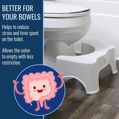 DMI Plastic Toilet Step Stool, White (520-0100-0000)