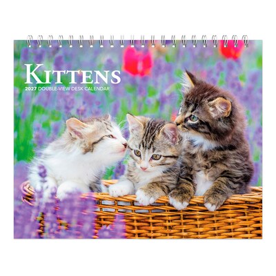 2027 BrownTrout Kittens 7.5 x 6 Monthly Wall Calendar, Assorted Colors (9798330709373)