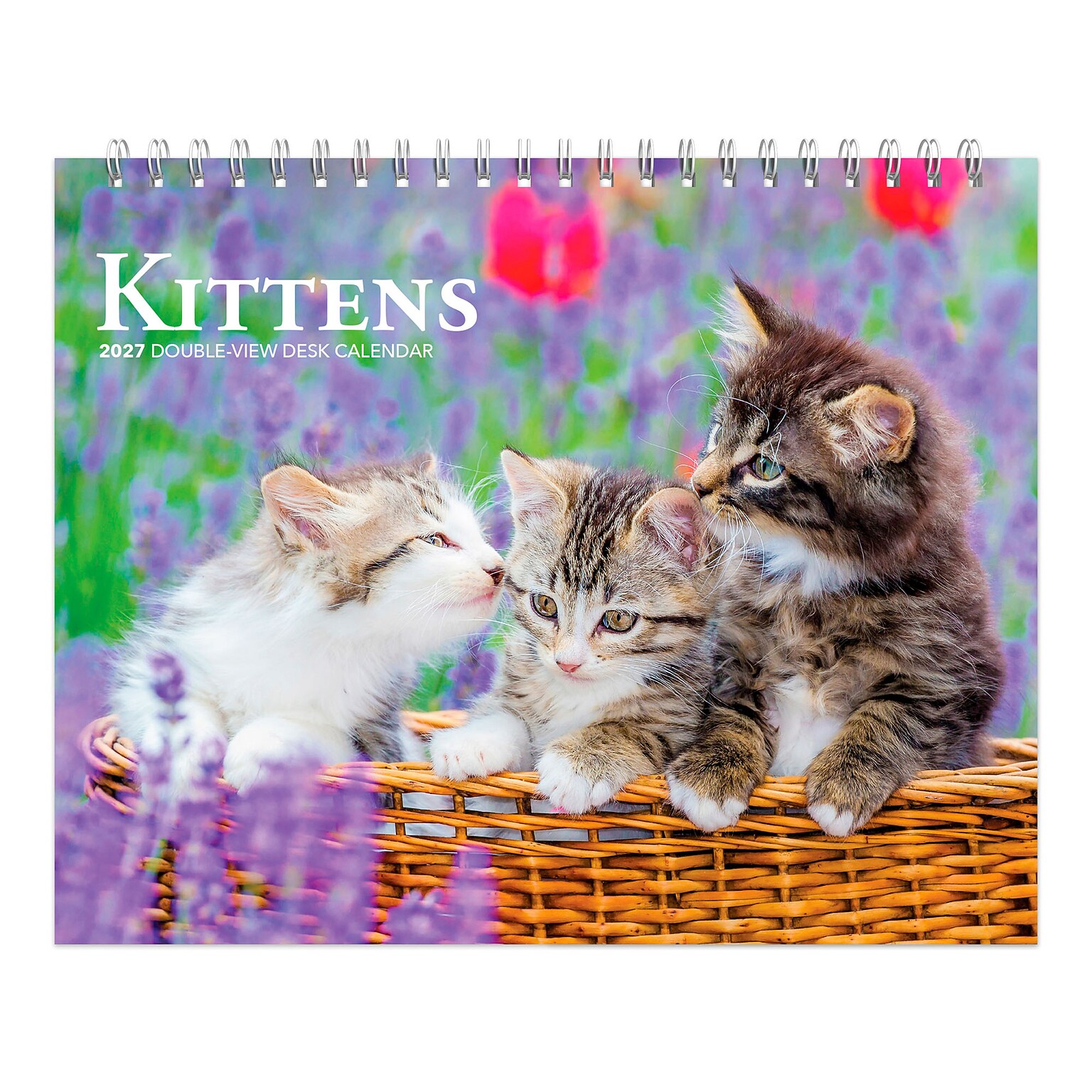 2027 BrownTrout Kittens 7.5 x 6 Monthly Wall Calendar, Assorted Colors (9798330709373)