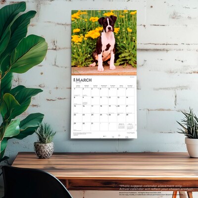 2026 BrownTrout I Love Puppies 12" x 12" Monthly Wall Calendar (9798330705283)