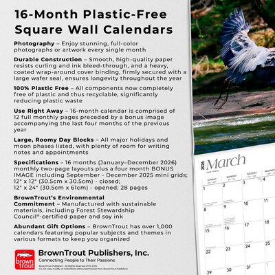 2026 BrownTrout North Carolina Wild & Scenic 12" x 12" Monthly Wall Calendar (9798330704910)