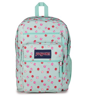 JanSport Big Student Laptop Backpack, Large, Apple Orchard (JS0A47JKA3D)