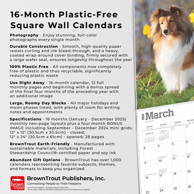 2025 BrownTrout Shetland Sheepdogs 12" x 24" Monthly Square Wall Calendar, (9781975477721)