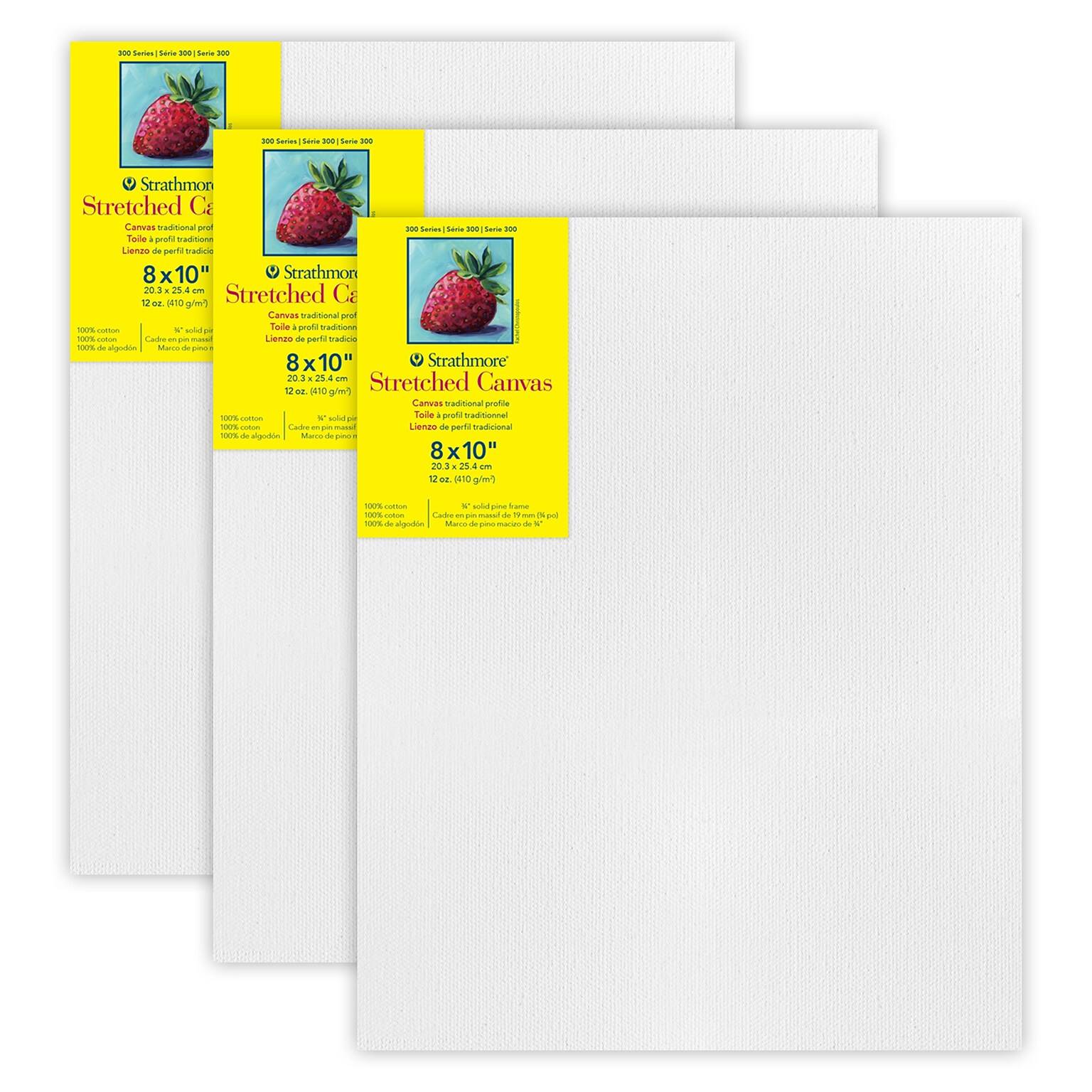 Strathmore 300 Series Primed Traditional Stretched Canvas, 8 x 10, 3/Bundle (STT31308-3)