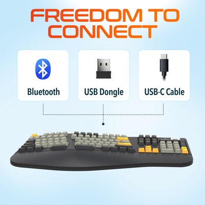 Delton E450 Ergonomic Mechanical Keyboard and Headset Bundle, Black (DKWE450WRBD1)