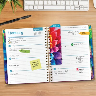 2027 Excello Brands 9 x 11 Weekly & Monthly Standard Planner, Paperboard Cover, Rainbow Petals (FSHN-CY27-8511-41)