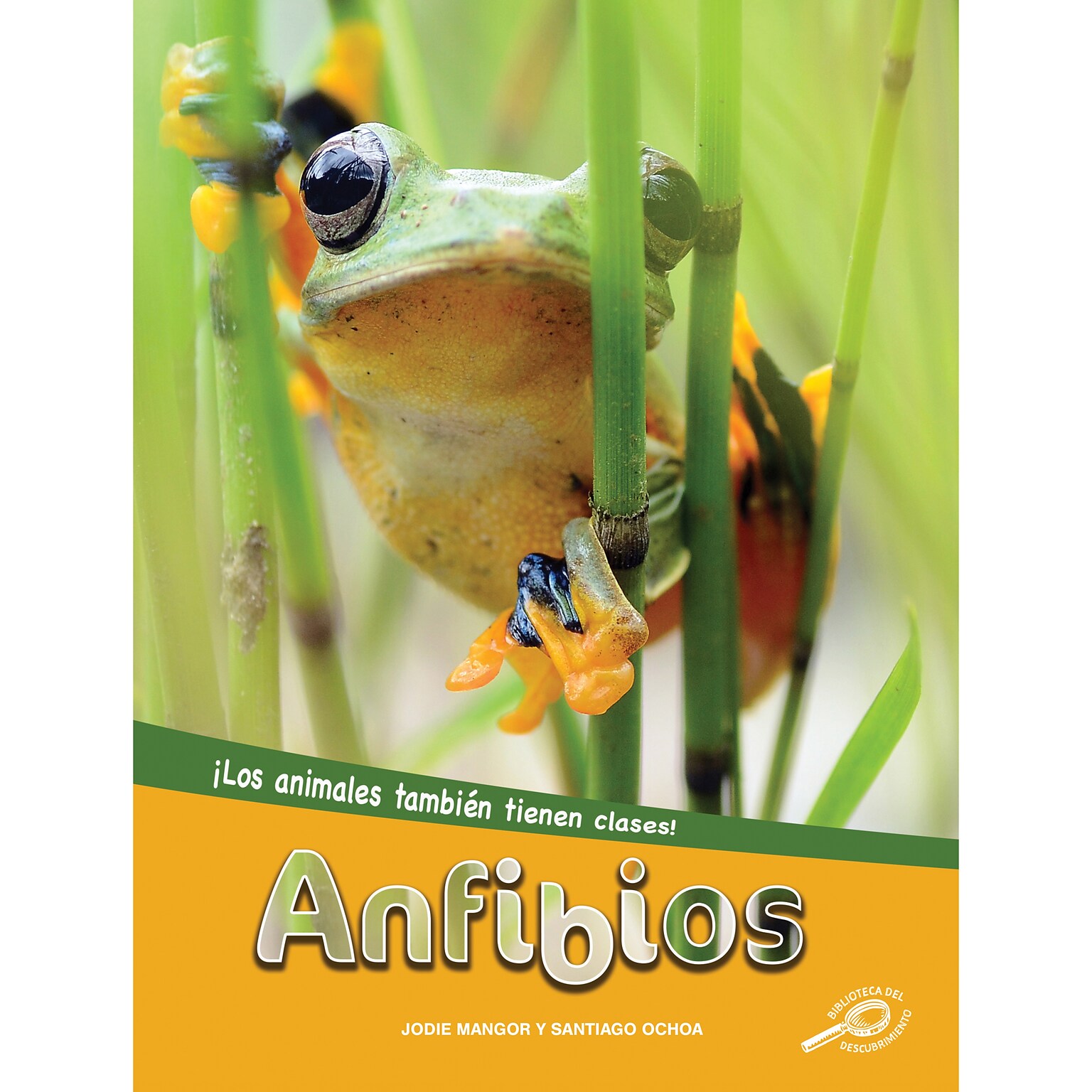 Carson-Dellosa Discovery Library Anfibios, Hardcover (CD-9781731654564)