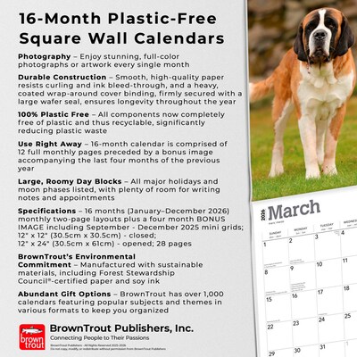 2026 BrownTrout Saint Bernards 12" x 12" Monthly Wall Calendar (9798330705405)