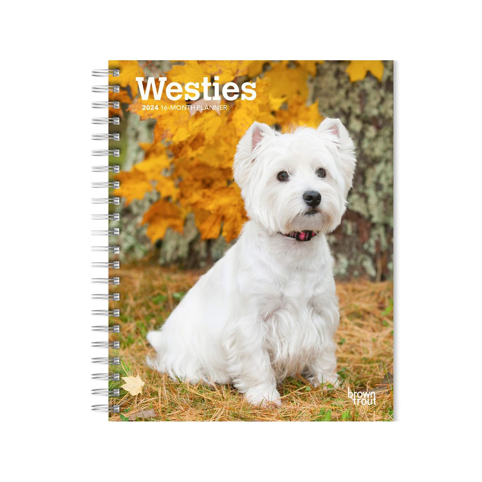 2024 BrownTrout West Highland White Terriers 6 x 7.75 Weekly & Monthly Engagement Planner, Multicolor (9781975468019)