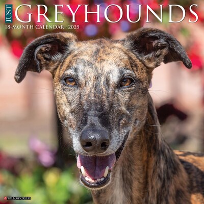 2025 Willow Creek Just Greyhounds 12 x 12 Monthly Wall Calendar (43233)