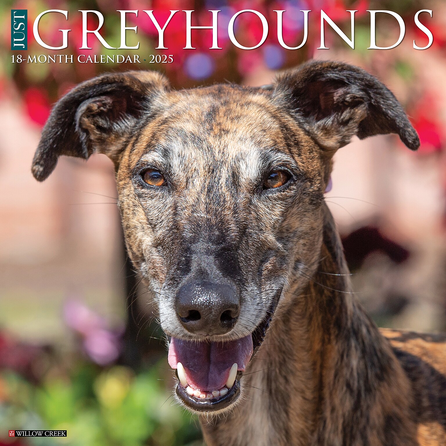 2025 Willow Creek Just Greyhounds 12 x 12 Monthly Wall Calendar (43233)