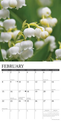 2026 Willow Creek Flowers 12" x 12" Monthly Wall Calendar (51139X)