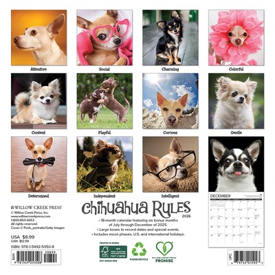 2026 Willow Creek Chihuahua Rules 7 x 7 Monthly Wall Calendar (53508)