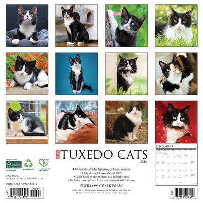 2026 Willow Creek Tuxedo Cats 12 x 12 Monthly Wall Calendar (53034)