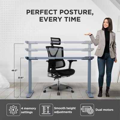 Uncaged Ergonomics Rise Up Electric Adjustable Height Desk Frame, Gray (Rug)