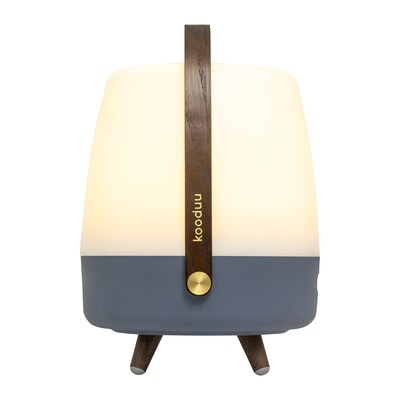 Kooduu Lite Up Play 15.75" LED Speaker Lamp with USB Port, Ocean (1201-07)