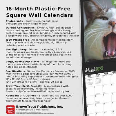 2025 BrownTrout Cat Selfies 12" x 12" Monthly  Wall Calendar (9781975474614)